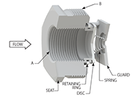 Basic-Check® Threaded In-Line Check Valves - 2