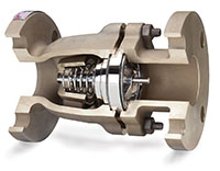 DFT® Excalibur® NAB (Nickel-Aluminum Bronze) Silent Check Valves - 3