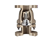 DFT® Excalibur® NAB (Nickel-Aluminum Bronze) Silent Check Valves